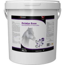 Octalys Base - Seau de 20 kg