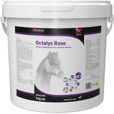 Octalys Base - Seau de 5 kg