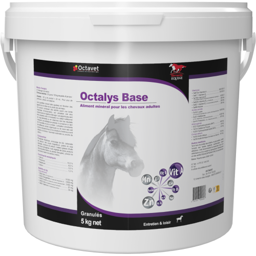 Octalys Base - Seau de 5 kg Octalys Base - Seau de 5 kg