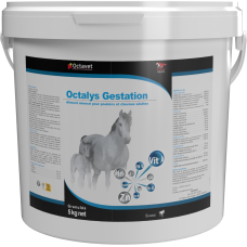 Octalys Gestation - Seau de 5 kg